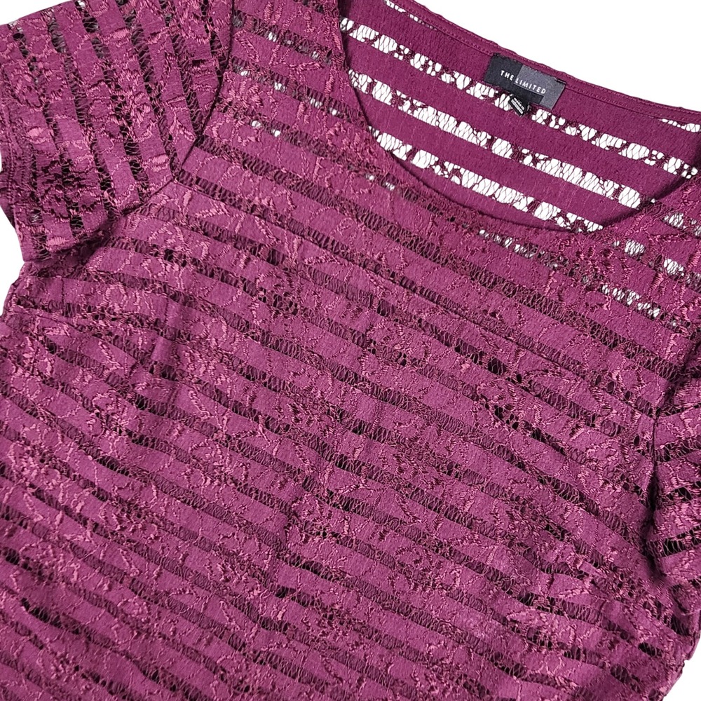 The Limited‎ Striped Lace Overlay Top Womens Medium Purple Short Sleeve Coquette